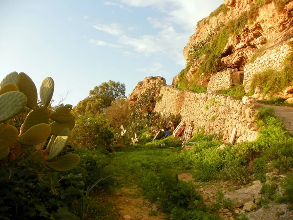Malta Dingli Cliffs Triq Panoramika Nature Rocks — Zdjęcie stockowe