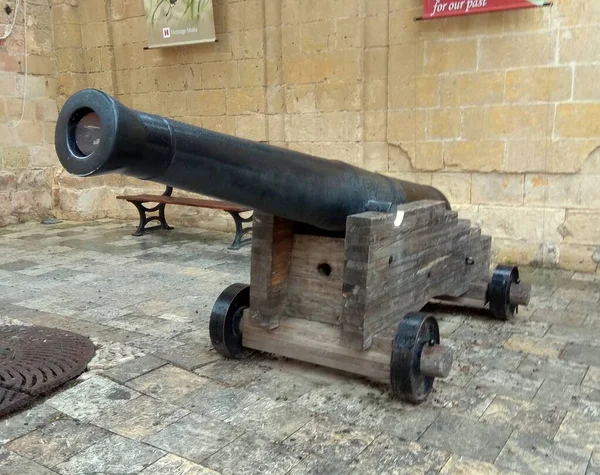 Malta Mdina National Museum Natural History Cannon — Stockfoto