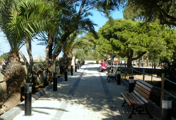 Malta Floriana Furjana Argotti Botanic Gardens Resource Centre Territory Park — Stockfoto