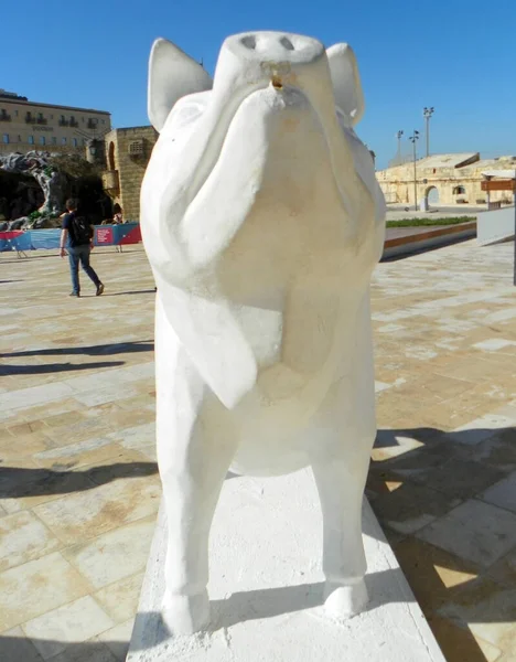 Malta Valletta Pig Sculpture — Stockfoto