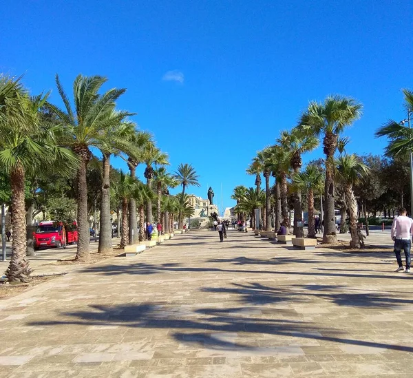 Malta Floriana Furjana Great Siege Road Palm Alley Christ King — Stockfoto