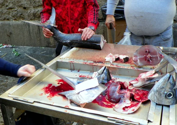 Italy, Sicily, Catania, Fish Market, fish for sale