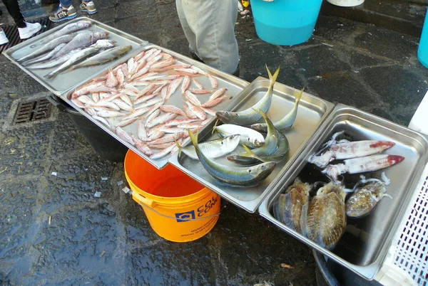 Italy, Sicily, Catania, Fish Market, fish for sale