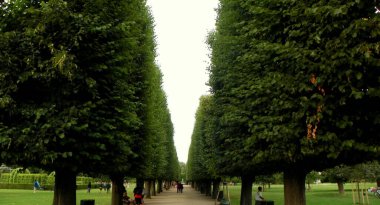 Denmark, Copenhagen, Rosenborg Castle Park, alley in the park