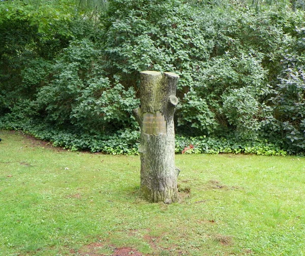 Denmark, Copenhagen, Assistens Cemetery, graves in the cemetery, tree-obelisk