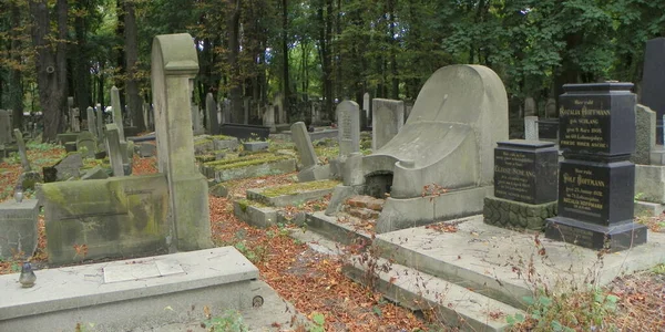 Polonia Cracovia Kazimierz Dashynsky Alley Nuovo Cimitero Ebraico — Foto Stock