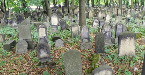 Πολωνία Κρακοβία Kazimierz Dashynsky Alley Νέο Εβραϊκό Νεκροταφείο — Φωτογραφία Αρχείου