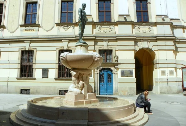 Poland Wroclaw University Square Fencer Fountain — 스톡 사진