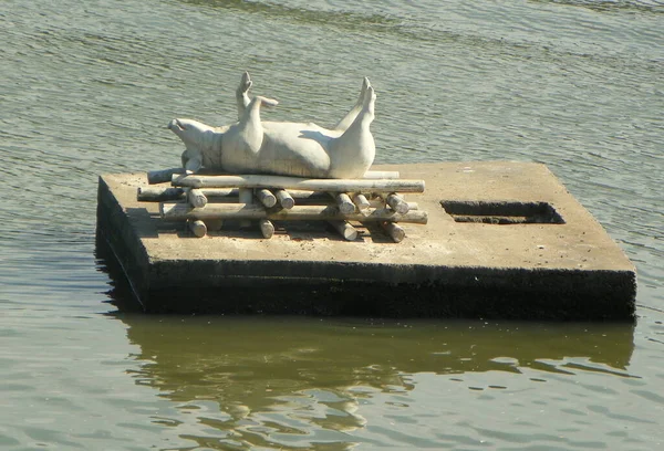 Polen Krakau Schweineskulptur Inmitten Des Flusses — Stockfoto