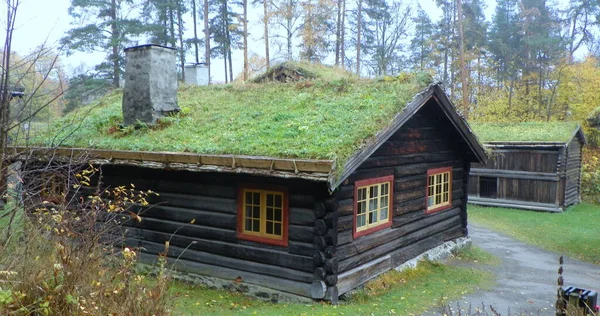 Norwegia Oslo Norweskie Muzeum Historii Kultury Starożytne Osiedle Wikingów — Zdjęcie stockowe
