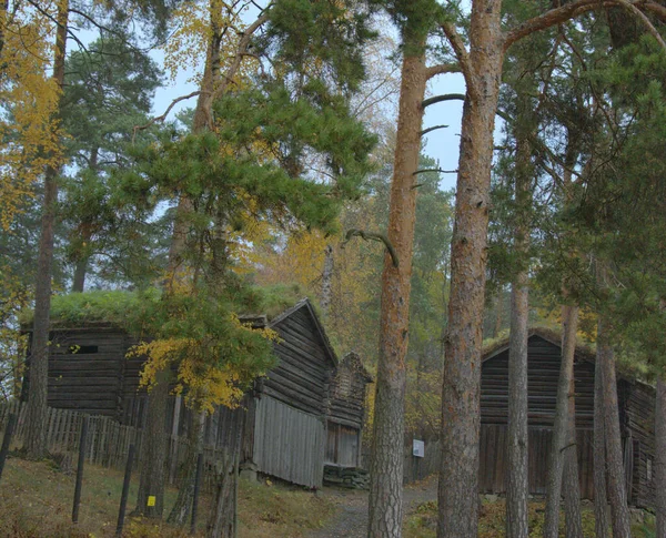 ノルウェー オスロ ノルウェー文化史博物館 古代バイキング住宅 — ストック写真