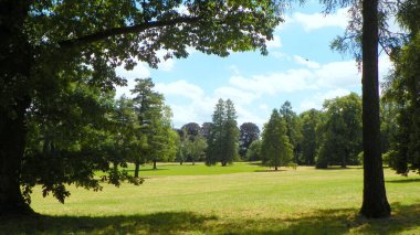 Polonya, Lancut, Castle Park, parkta doğa.