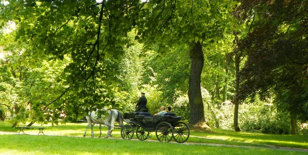 Πολωνία Lancut Κάστρο Park Πόδια Μεταφορά Τους Τουρίστες — Φωτογραφία Αρχείου