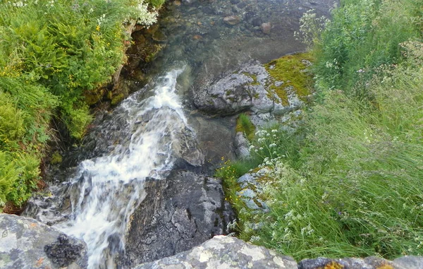 Norwegen More Romsdal County Andalsnes Hoher Gebirgsbach — Stockfoto