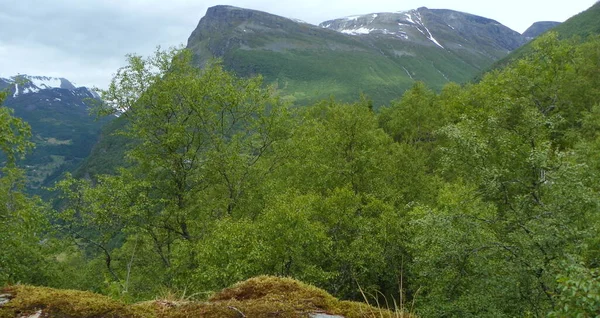 Norvegia Altro Romsdal County Paese Vichinghi Troll — Foto Stock