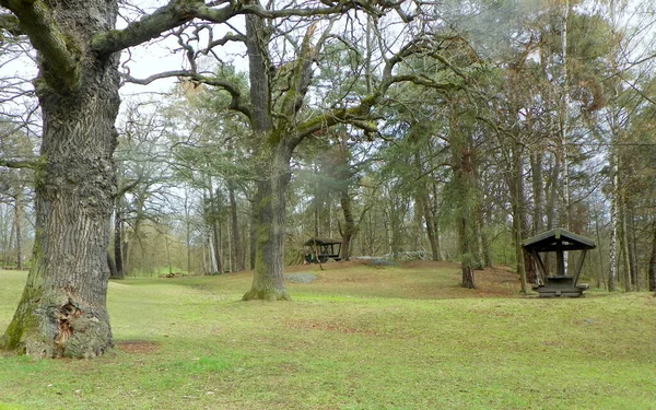 Zweden Stockholm Djurgarden Island Recreatietafels Het Grondgebied Van Het Eiland — Stockfoto