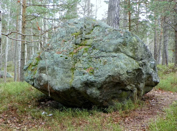 Suécia Estocolmo Djurgarden Island Pedra Velha — Fotografia de Stock
