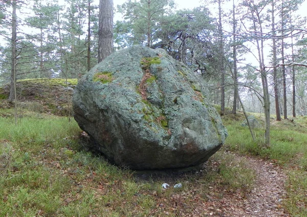 Suecia Estocolmo Djurgarden Island Roca Cubierta Musgo —  Fotos de Stock