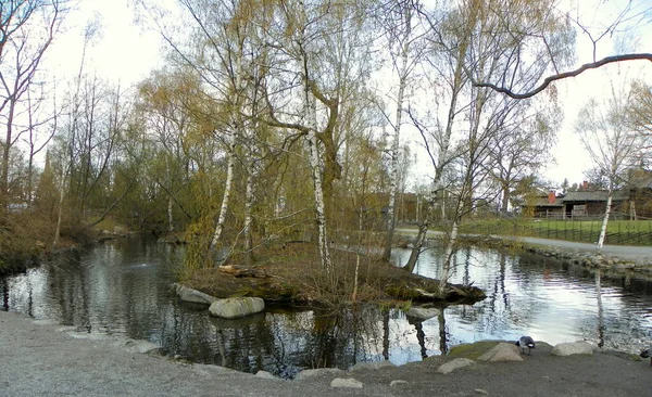 스웨덴 스톡홀름 Djurgarden Island Skansen Bird Ponds — 스톡 사진