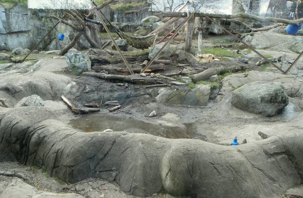 Suécia Estocolmo Ilha Djurgarden Skansen Labirintos Pedra Urso Gaiola — Fotografia de Stock