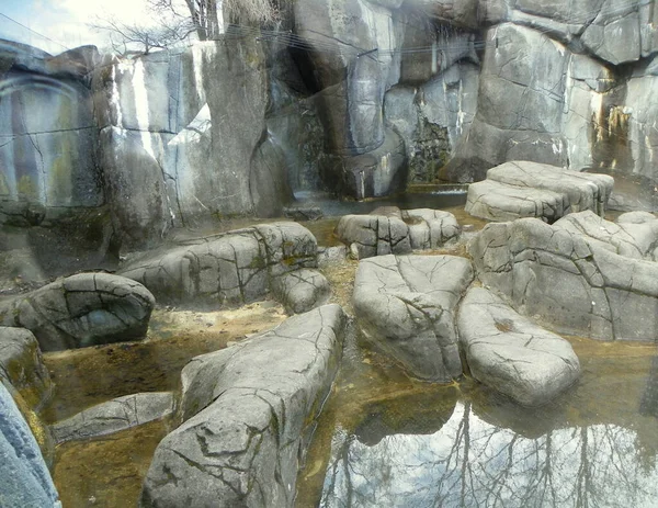 Suécia Estocolmo Ilha Djurgarden Skansen Labirintos Pedra Urso Gaiola — Fotografia de Stock