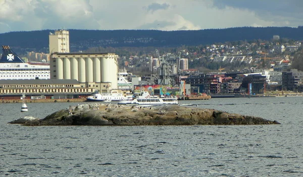 Norway Oslo Oslofjord Island Seagulls — Stock Photo, Image