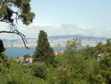 Türkiye, Büyükada adası, İstanbul manzarası