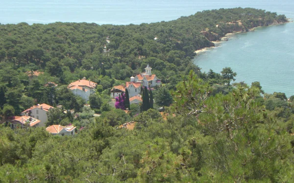 Turkije Buyukada Eiland Uitzicht Het Beboste Deel Van Het Eiland — Stockfoto