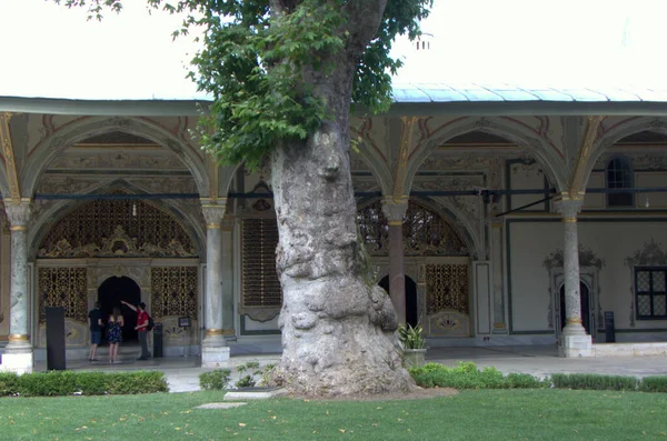 Turcja Stambuł Cankurtaran Pałac Topkapi Puste Drzewo Trzecim Dziedzińcu — Zdjęcie stockowe