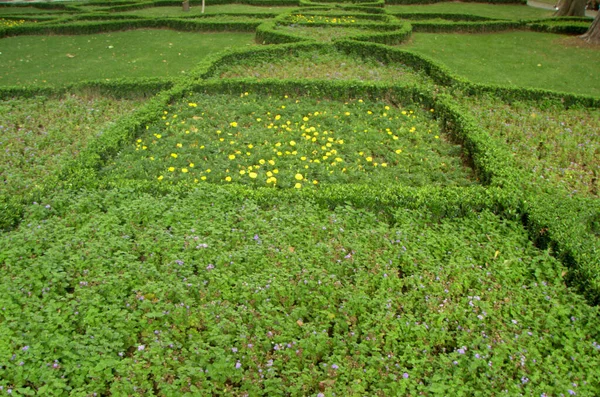 Turkey Istanbul Cankurtaran Gulhane Park Bushes Nature Park — Stock Photo, Image