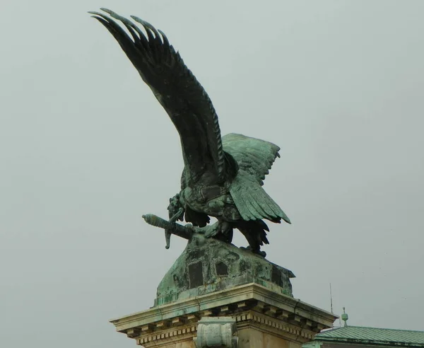 Hungría Budapest Una Estatua Del Turul Colina Del Castillo Buda — Foto de Stock