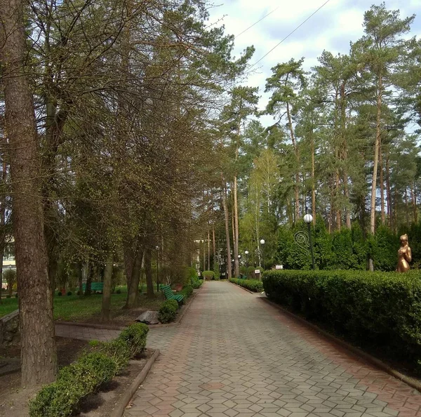 乌克兰 Khmilnyk 有小巷和长椅的疗养院的领土Podillya疗养院 — 图库照片