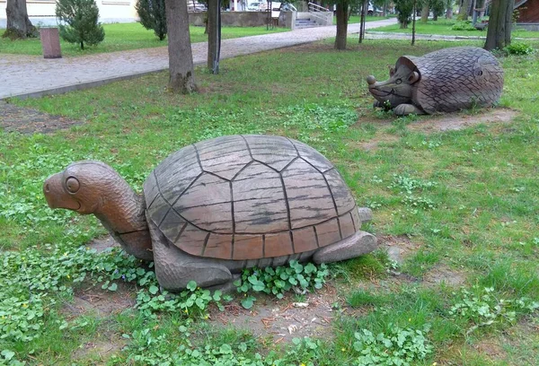 Ukraine Khmilnyk Sanatorium Birch Grove Park Design Wooden Sculptures Turtle — Stockfoto