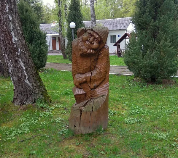 Ukraine Khmilnyk Sanatorium Birch Grove Park Design Wooden Dwarf Sculpture — Stock fotografie