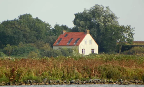 Hollanda, Amsterdam, Amsterdam, Amsterdam 'dan Muiderslot' a giden tekne, adadaki ev manzaralı.