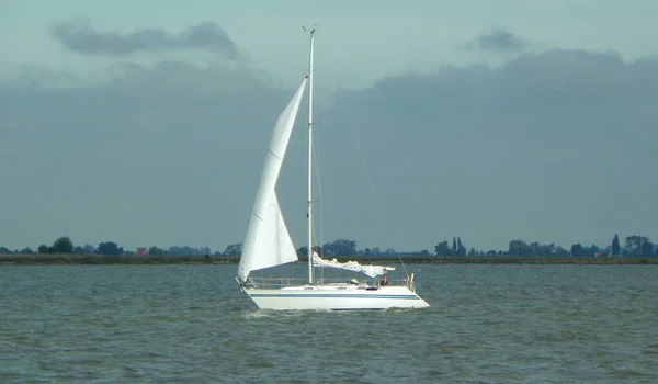 Holandia Markermeer Jacht Żaglowy Białymi Żaglami — Zdjęcie stockowe