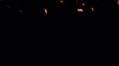 Autumn Leaves Falling Top to Bottom Animasyonu 'nun şeffaf arkaplan üzerinde dönüşümlü hali. 4K Sonbahar Animasyonu siyah arkaplan üzerinde bir düşüş etkisi bırakıyor.