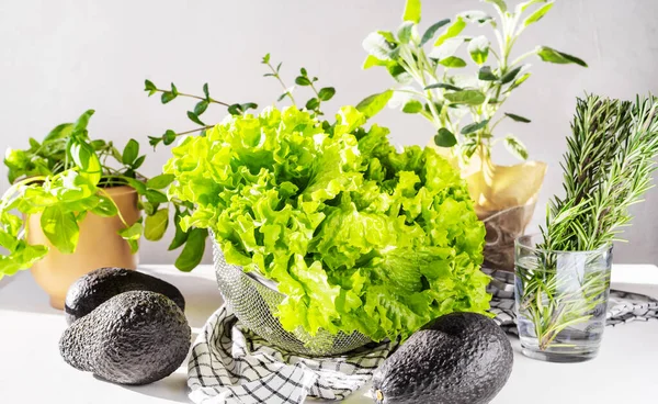 Salată de salată cu avocado și ierburi — Fotografie, imagine de stoc