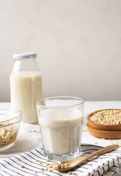 Lapte de orz vegan de casă în sticlă cu semințe — Fotografie, imagine de stoc
