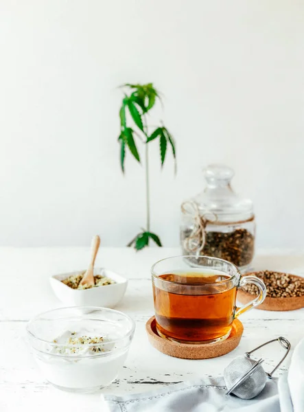 Hemp products: herb tea dry and fresh made in cup, seeds shelled and whole, yogurt with seeds, cannabis plant — Stock Photo, Image