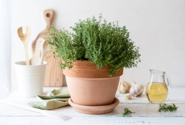 Mutfakta kekik bitkisi, terra cotta tenceresi, kap kacak, sarımsak, beyaz ahşap masada şarap. Boşluğu kopyala.