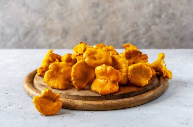 Raw chanterelle mushrooms on wooden cutting board. Grey concrete background Selective focus. Autumn harvesting concept. Copy space