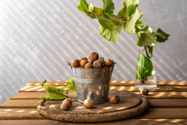 Küçük kovada fındıklar ahşap kırsal kesim tahtasında, fındık ağacı dalında. Ahşap masa, gri arka plan. Seçici odak