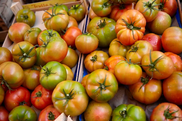 Fresh Tomatoes Salad Displayed Local Market — Stock Fotó