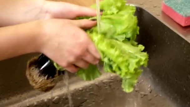 Krásná Dívka Smývá Špínu Zeleného Salátu Pod Proudem Vody — Stock video