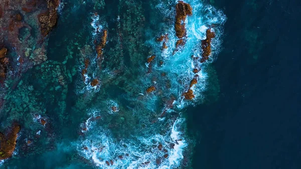青い海のサンゴ礁は — ストック写真