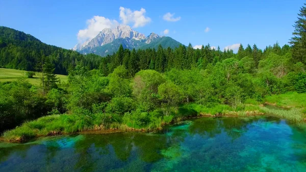 Jezioro Lesie Błękitne Niebo — Zdjęcie stockowe