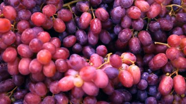 Bir avuç dolusu koyu kırmızı üzüm.
