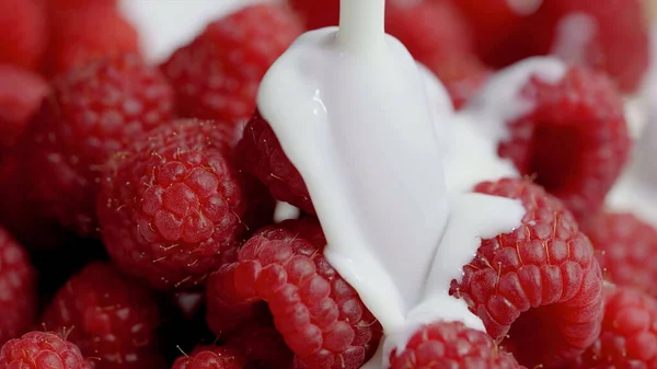 Frambuesas Maduras Rociadas Con Crema — Foto de Stock