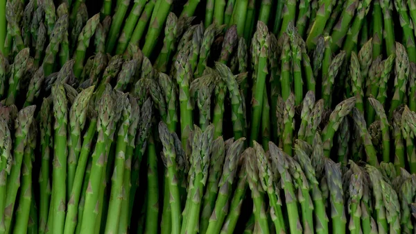 Bitkilerin yeşil kökleri bir kaydırağın içinde yatıyor